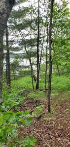 Palm Dr, Gilbert, MN, 55741