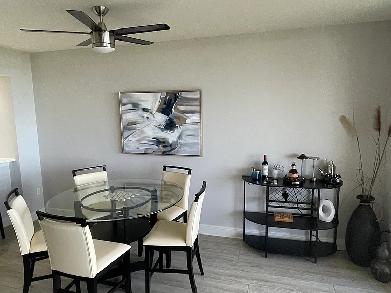 Ceiling fan and bar area