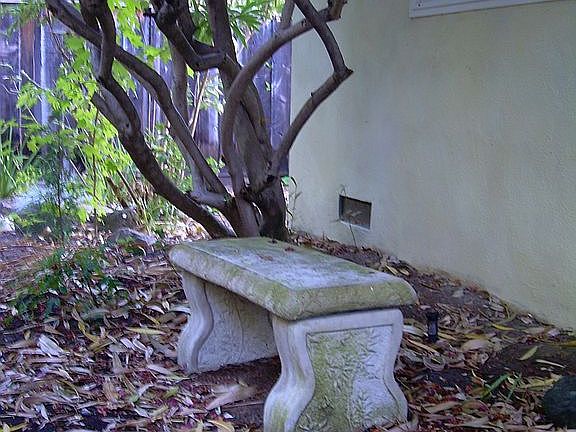 Resting bench in garden.