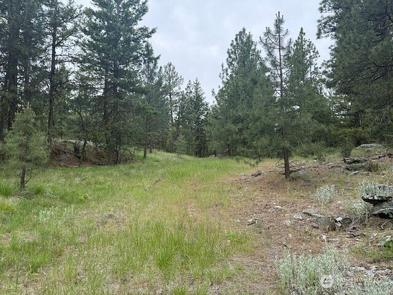 5th image of 111 TBD Patterson Creek