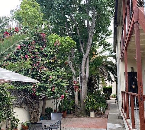 4th image of 1745 Myrtle Ave