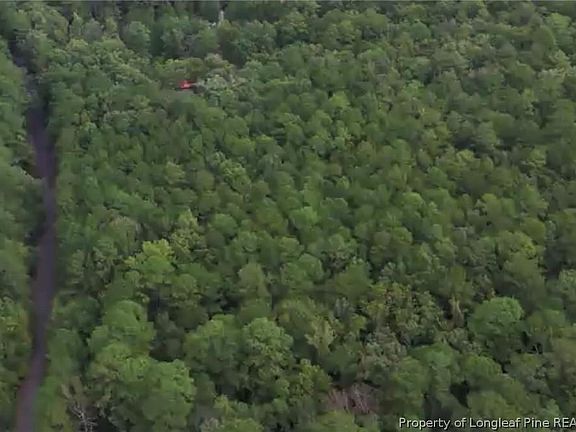 3rd image of 342 Thimbleberry Dr