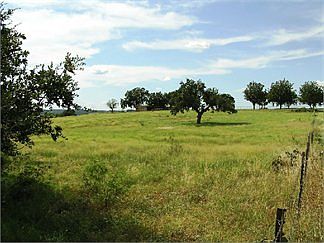 5th image of 1375 County Road 134