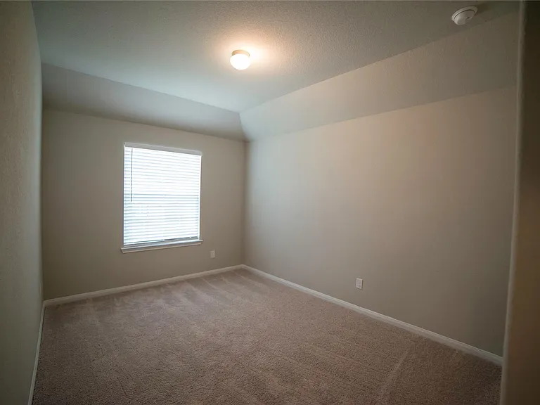 4455 Eveslage Ln — Photo 16