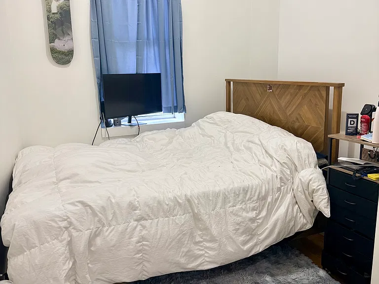 828 Saint Johns Pl #2R — Photo 3