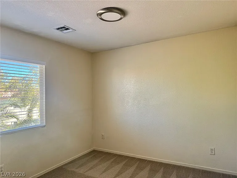 7512 Jacaranda Leaf St — Photo 22