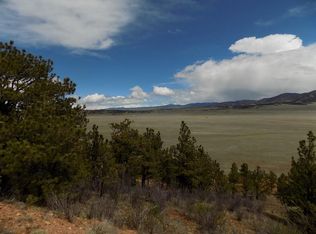 352 Settele Dr, Hartsel, CO 80449