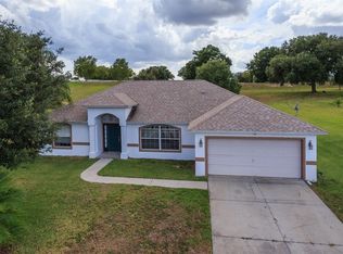 1028 Lakeview Oaks Dr, Minneola, FL 34715