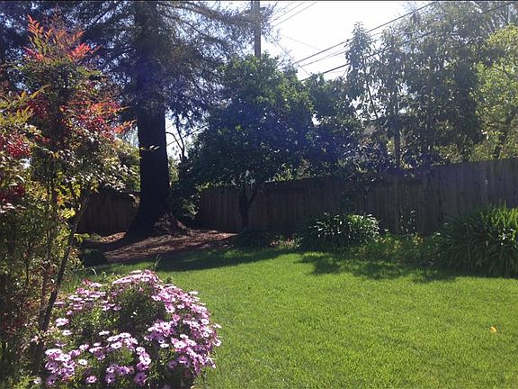 Big yard
