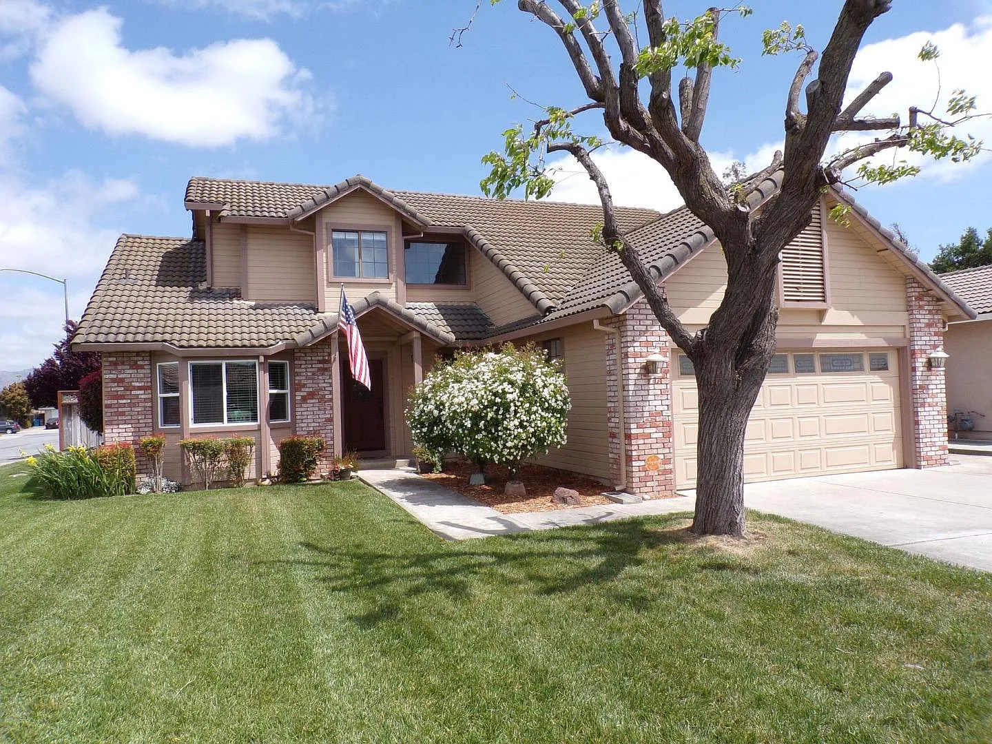 1301 Trieste Dr photo 1