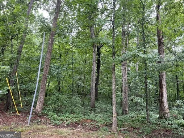 3871 Martin Dr, Ellenwood, GA 30294