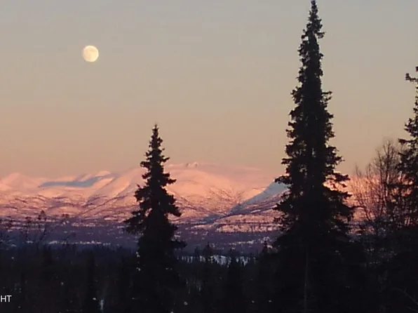 0 Trinity Ln, Skwentna, AK 99667