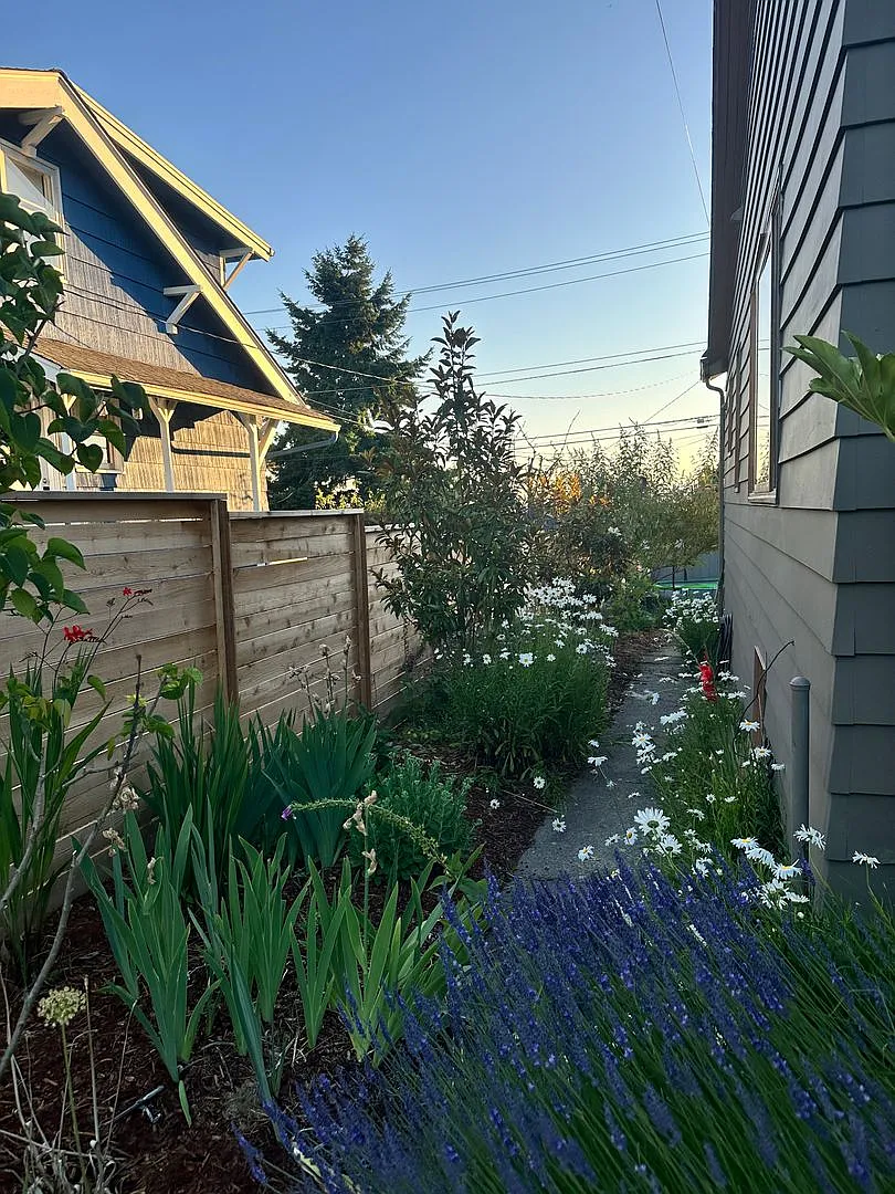 Lovely Fairmount Community Bungalow in West Seattle- $3500 — Photo 3