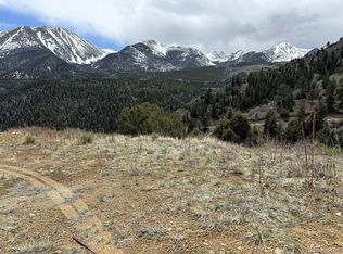 Knotty Pine Road, Howard, CO 81233
