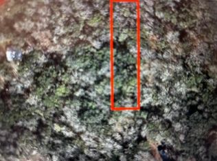 292nd St LOT 6, Branford, FL 32008