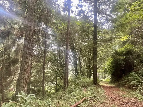 24 Hammer Ln, Arcata, CA 95521