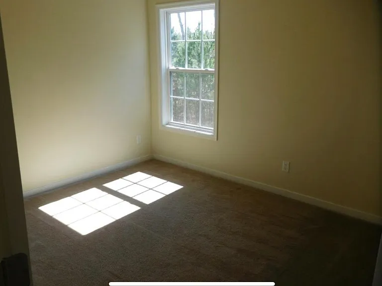 14206 Ashleyville Ln — Photo 9