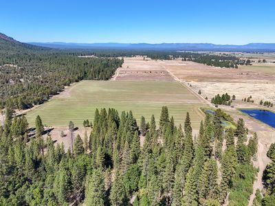 Brown Rd, Fall River Mills, CA, 96028