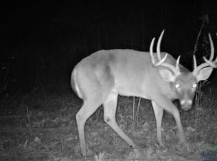 Sand Country Rd, Jefferson, TX 75657