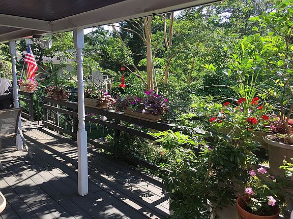Back yard from the porch