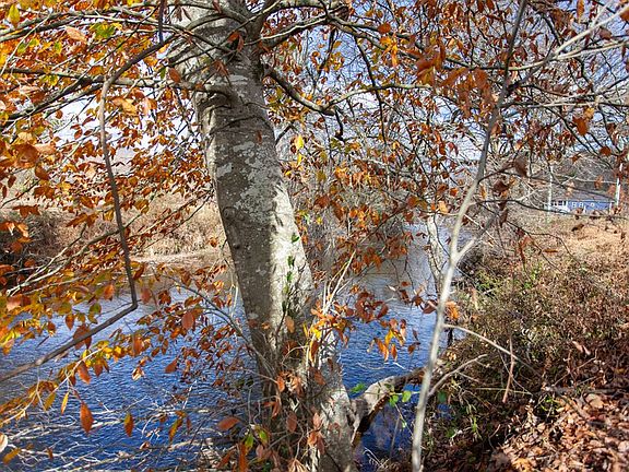 5th image of 0 Leaping Trout Run #9-10