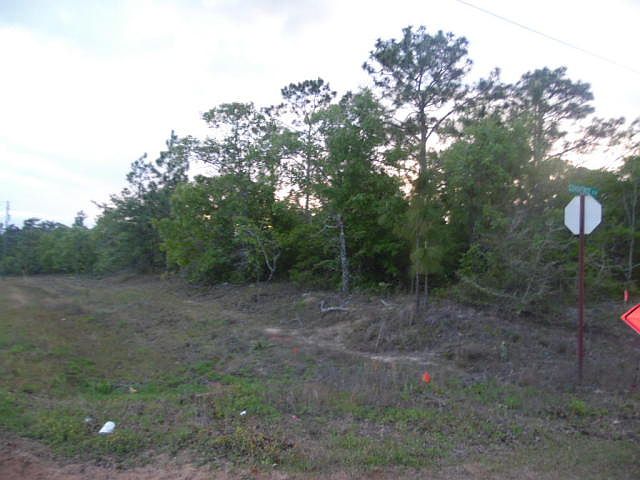 2nd image of Oakwood Lakes Blvd Lot 30