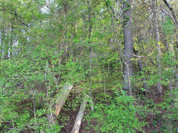 6.65 W Lacon Rd, Falkville, AL 35622