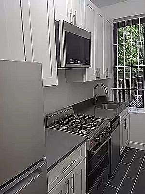 1st image of 253 W 16th St APT 1F
