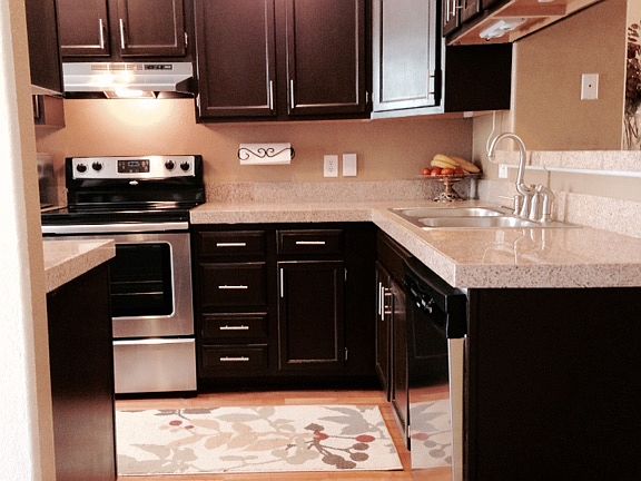 Stainless Steel Appliances