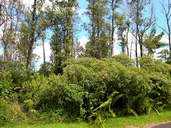 5th image of Uilani Dr Lot 87