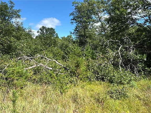 5th image of TBD Hayden Lake Road