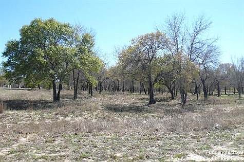 5th image of 350 Whispering Oaks Dr