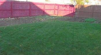 5th image of 3426 Mautino Dr