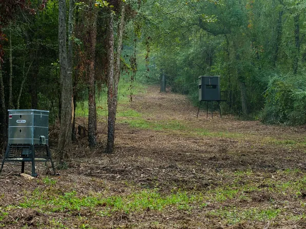 County Road 354, Winona, TX 75792