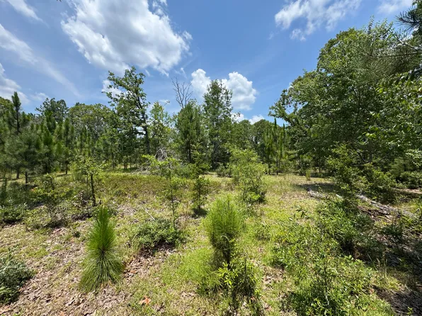 174 Hard Luck Ln, Windsor, SC 29856