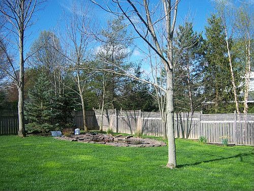 5th image of 20972 Fawnhaven Dr