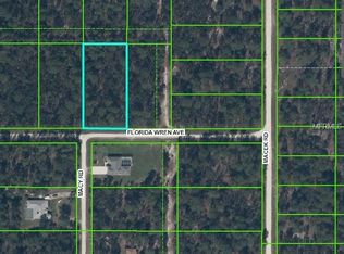 11149 Florida Wren Ave, Weeki Wachee, FL 34614