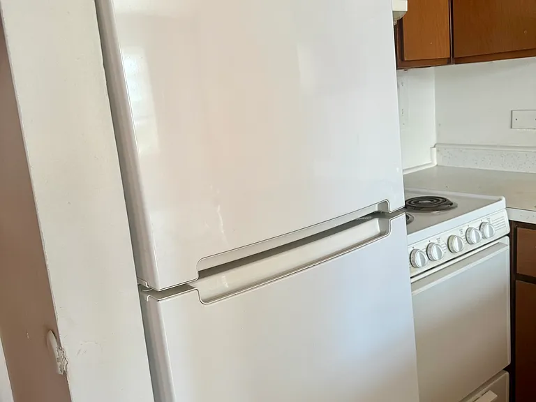 123 N Central Ave #210 — Photo 8