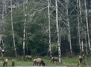 1221 Lighthouse Ln #29, Brookings, OR 97415