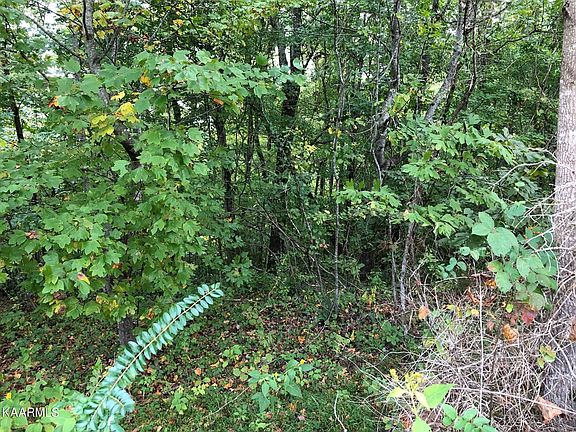 4th image of 42 Old Hearth Dr Lot 42