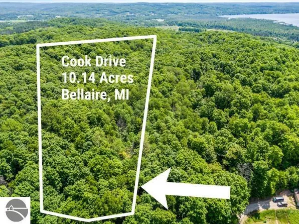 5 Cook Dr, Bellaire, MI 49615