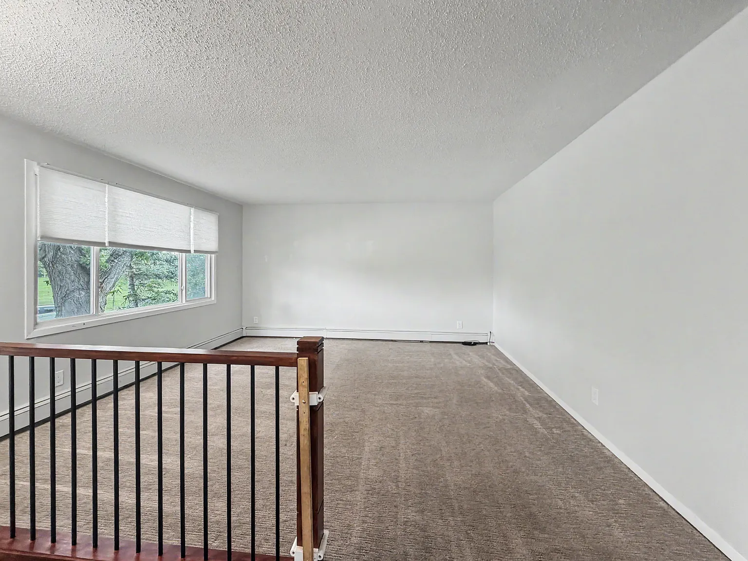 15 Galbraith — Photo 4