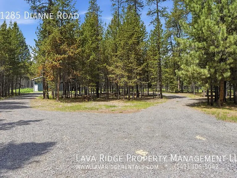 51285 Dianne Rd — Photo 64