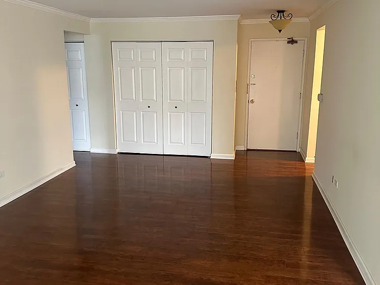 2424 E Oakton St #2C — Photo 6