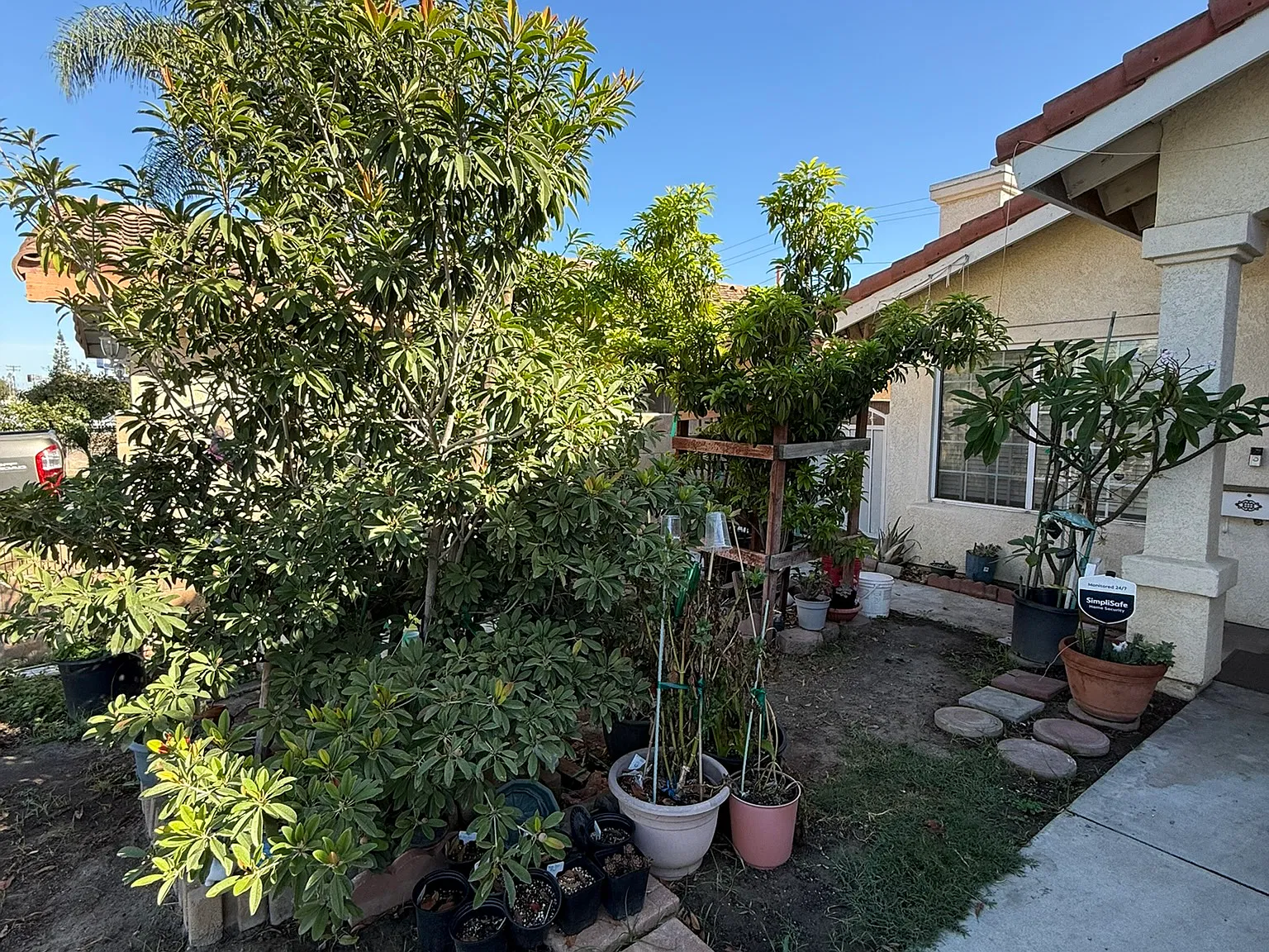 4 bed, 1672 sqft, $4,200 — Photo 4