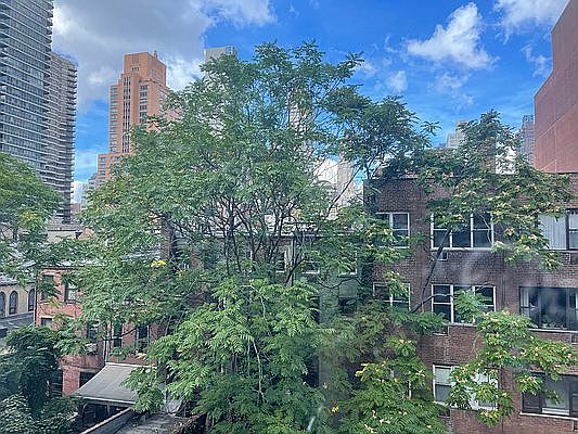 3rd image of 237 E 59th St #2N