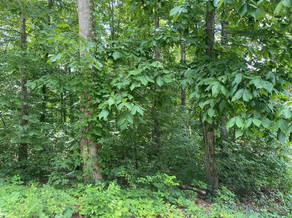 14 County Road 1121 #14, Athens, TN 37303