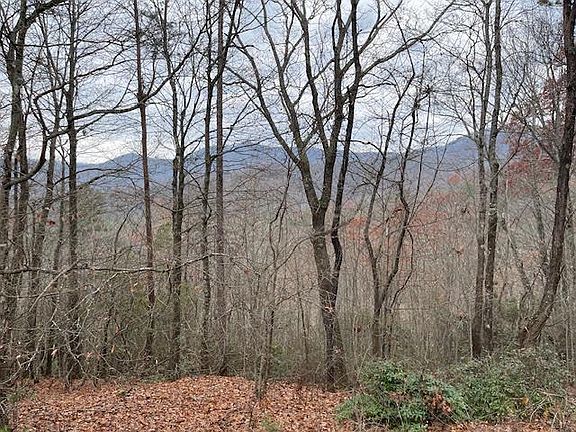 5th image of 17B Amy Creek Cir