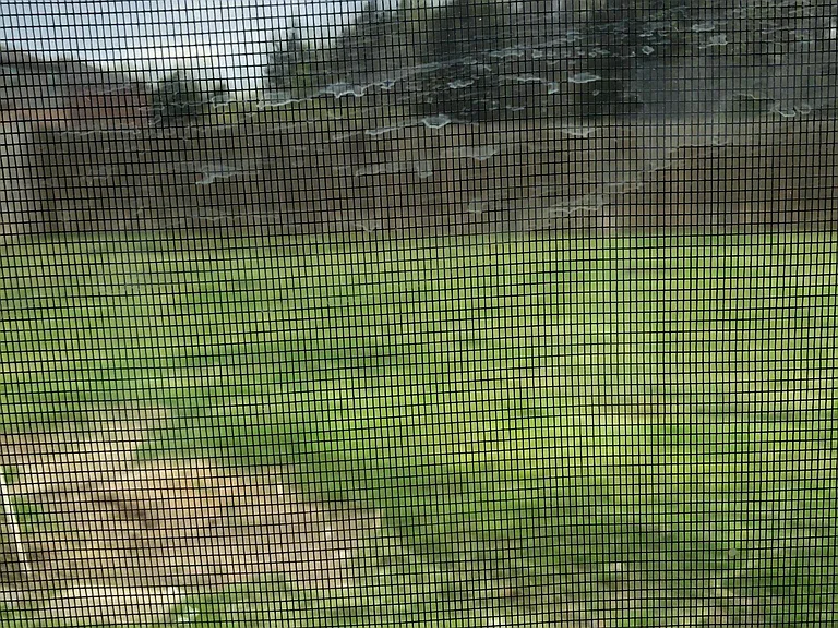 3115 Elam St — Photo 9