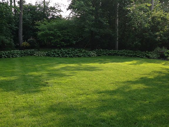 Back yard